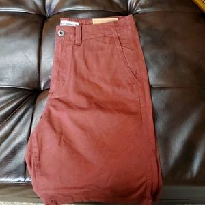 American Eagle Longboard Shorts 34'